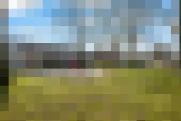 Schorpioen 43 Hoogezand thumbnail 34