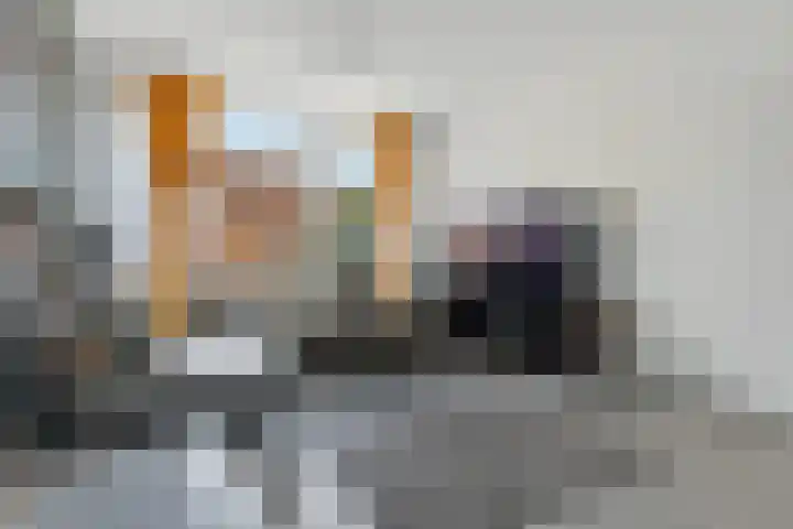 Schorpioen 43 Hoogezand thumbnail 8