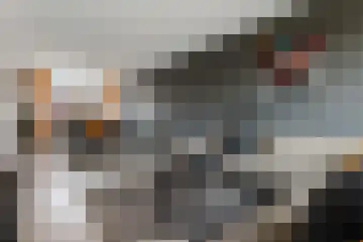 Schorpioen 43 Hoogezand thumbnail 9