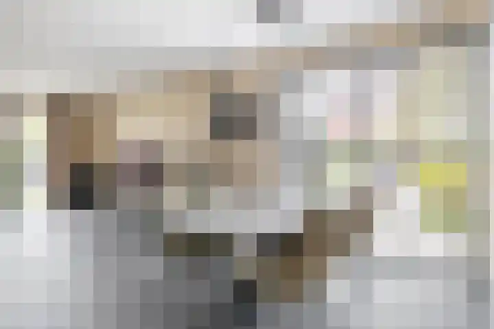 Schorpioen 53 Schijndel thumbnail 10