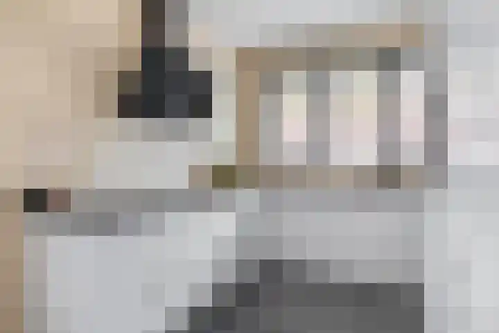 Schorpioen 53 Schijndel thumbnail 12