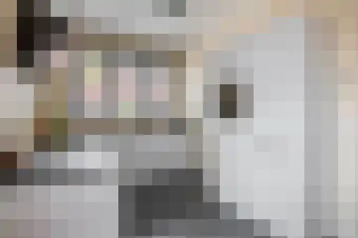 Schorpioen 53 Schijndel thumbnail 14