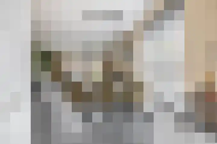 Schorpioen 53 Schijndel thumbnail 15