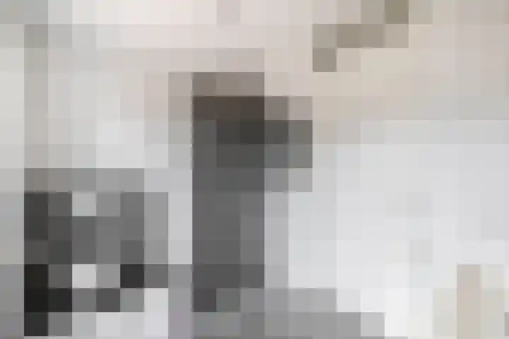 Schorpioen 53 Schijndel thumbnail 22