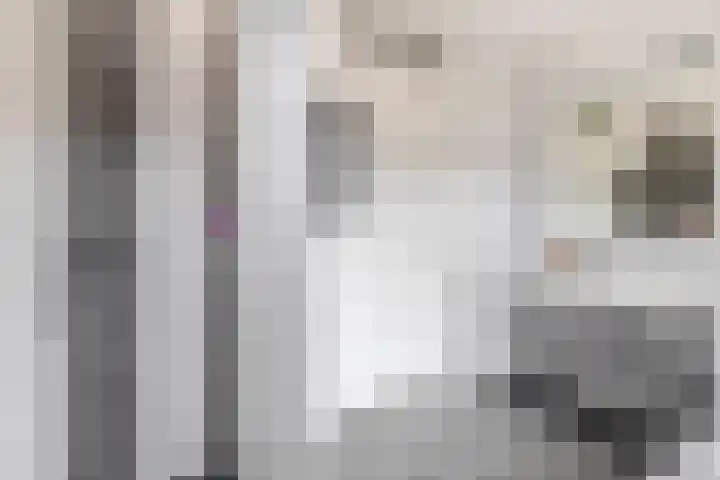 Schorpioen 53 Schijndel thumbnail 23