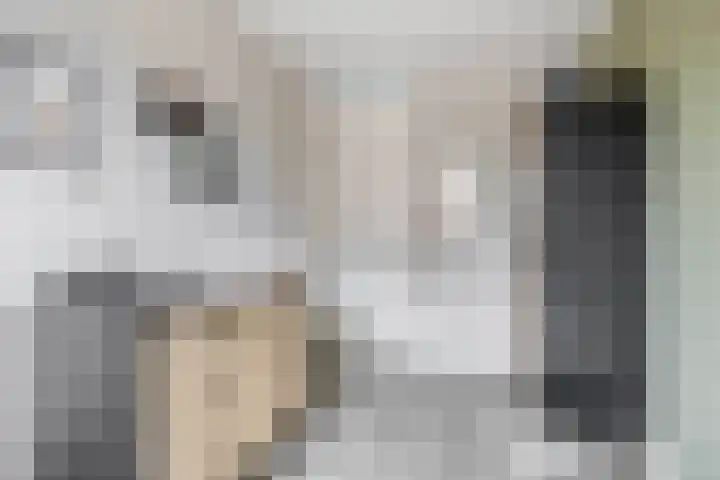 Schorpioen 53 Schijndel thumbnail 26