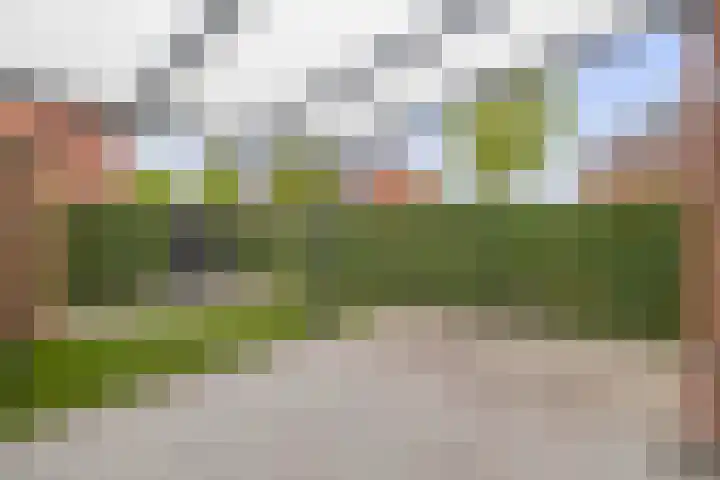 Schorpioen 53 Schijndel thumbnail 30