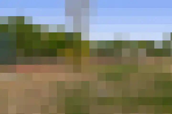 Schorpioen 53 Schijndel thumbnail 32