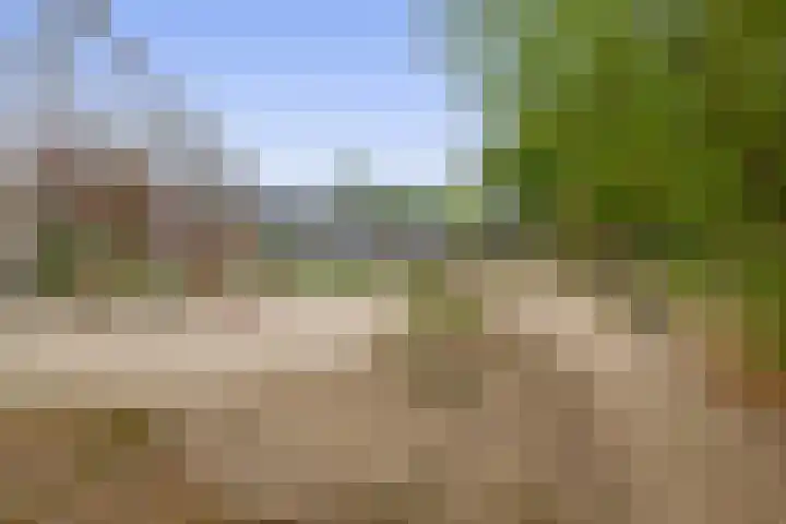 Schorpioen 53 Schijndel thumbnail 33
