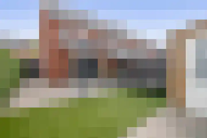 Schorpioen 53 Schijndel thumbnail 4