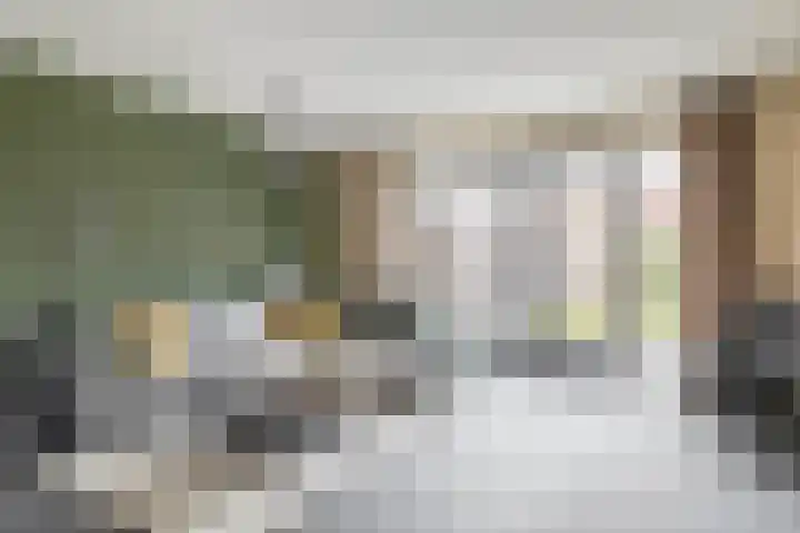 Schorpioen 53 Schijndel thumbnail 5