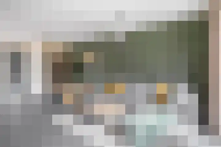 Schorpioen 53 Schijndel thumbnail 7