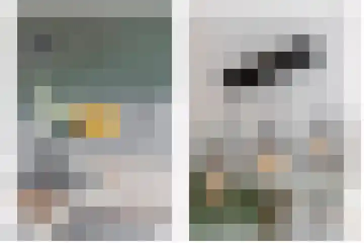 Schorpioen 53 Schijndel thumbnail 8