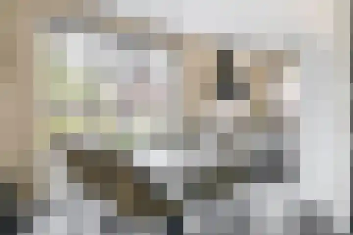 Schorpioen 53 Schijndel thumbnail 9