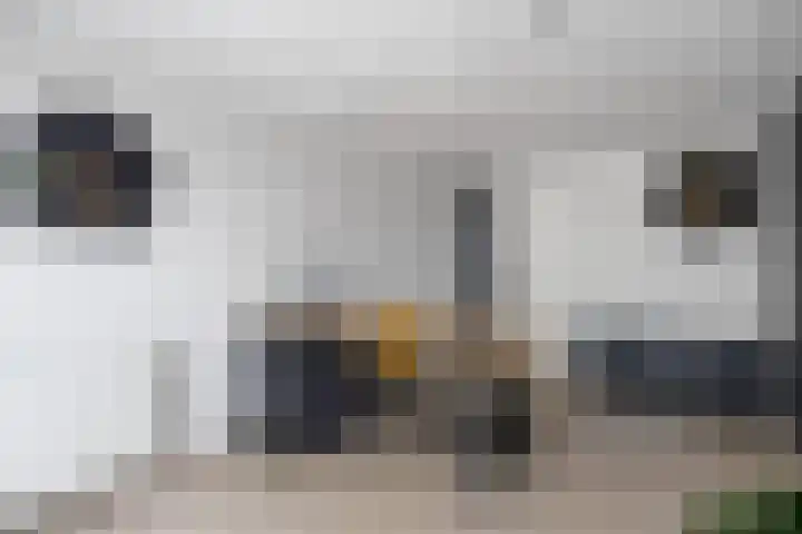 Schorpioen 57 Hoogezand thumbnail 10