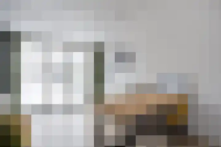 Schorpioen 57 Hoogezand thumbnail 11