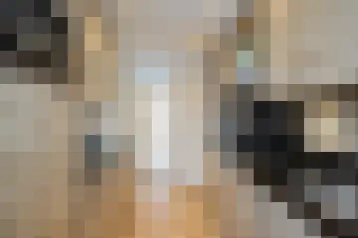 Schorpioen 57 Hoogezand thumbnail 13
