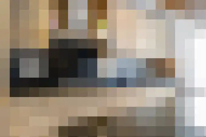 Schorpioen 57 Hoogezand thumbnail 14