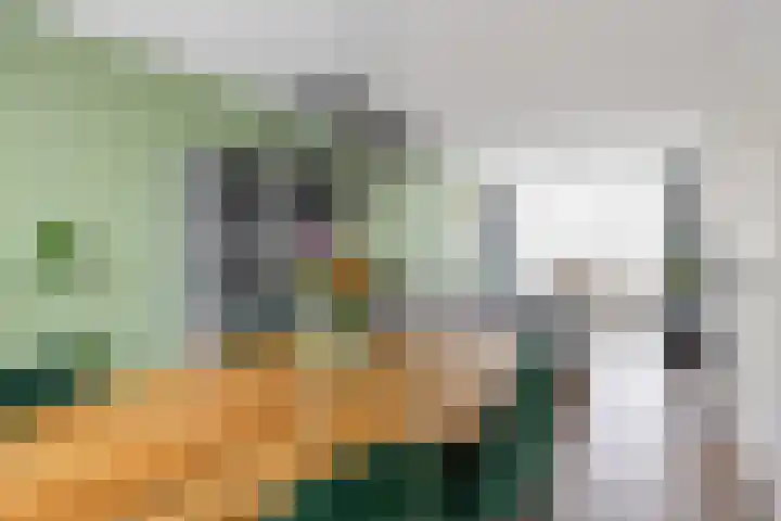Schorpioen 57 Hoogezand thumbnail 16