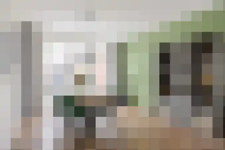 Schorpioen 57 Hoogezand thumbnail 19