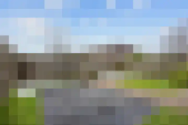 Schorpioen 57 Hoogezand thumbnail 29