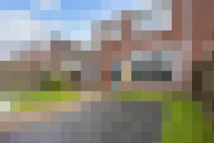 Schorpioen 57 Hoogezand thumbnail 30