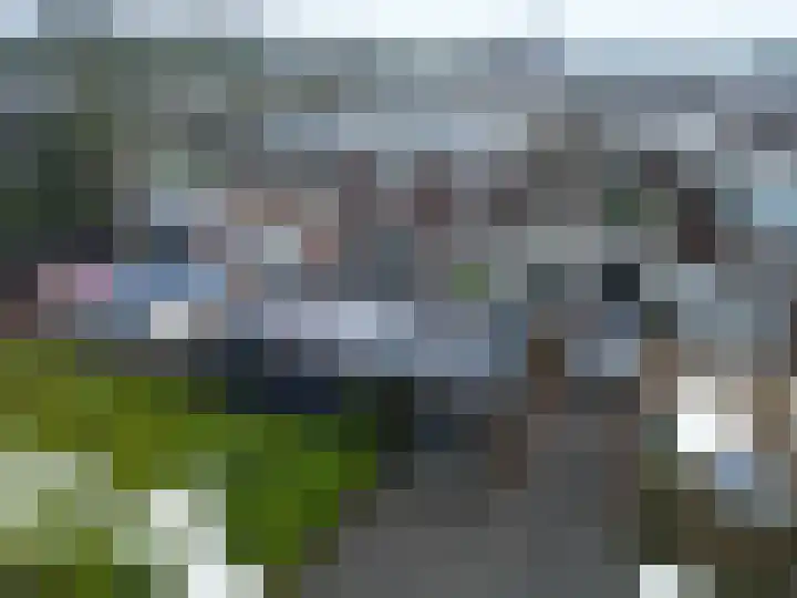 Schorpioen 57 Hoogezand thumbnail 31