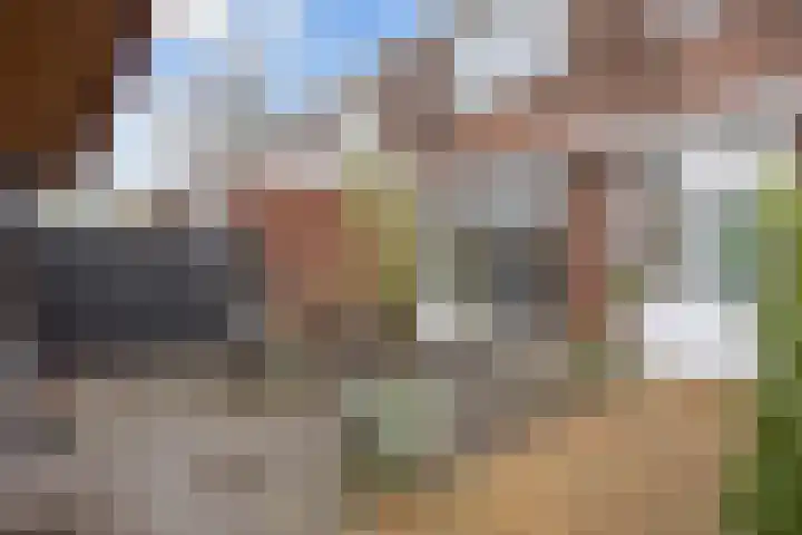 Schorpioen 57 Hoogezand thumbnail 4