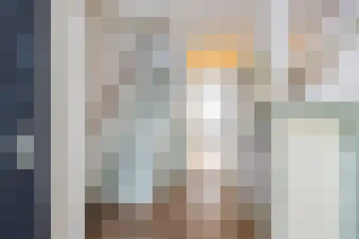 Schorpioen 57 Hoogezand thumbnail 7