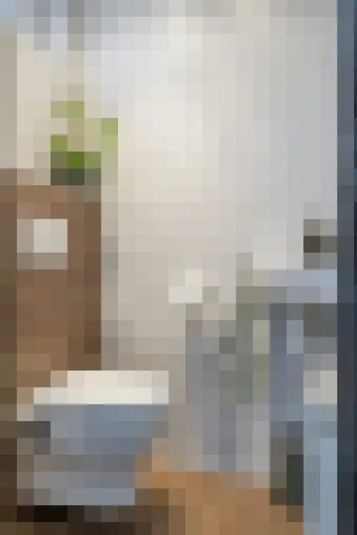 Schorpioen 57 Hoogezand thumbnail 8