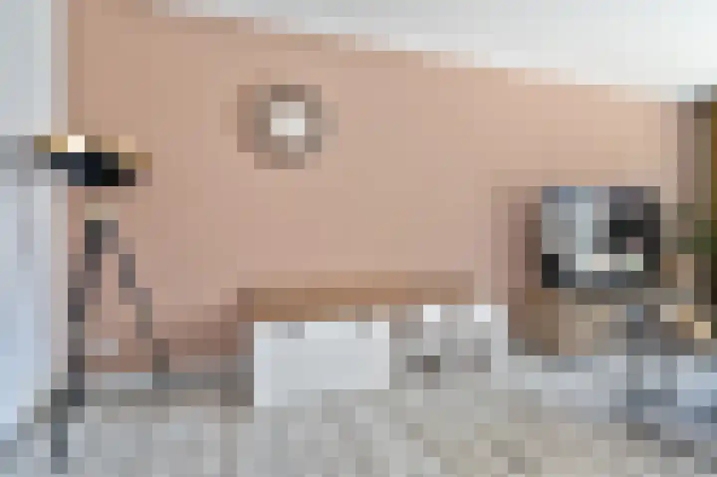 Schorpioen 57 Schijndel thumbnail 10