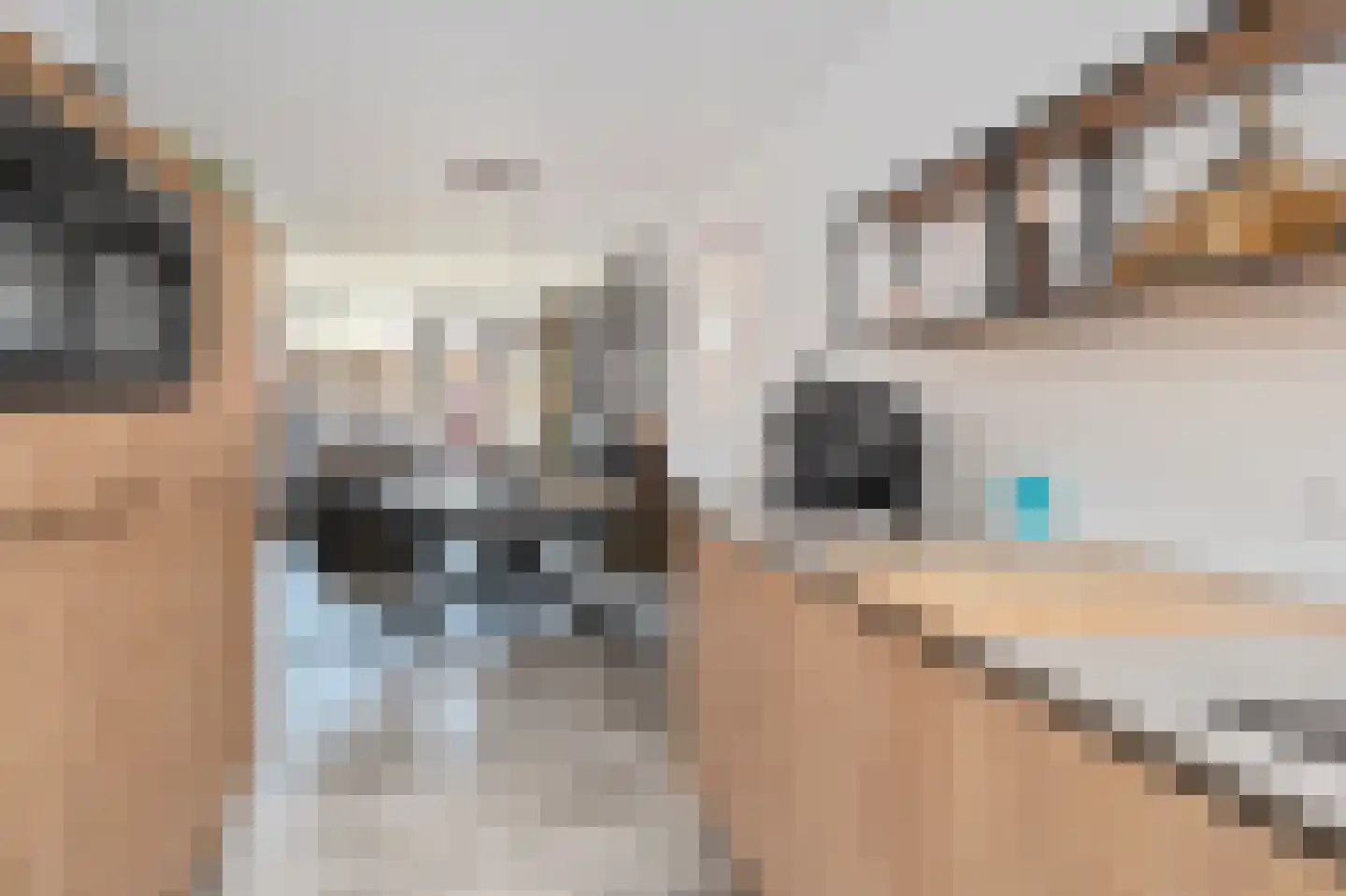 Schorpioen 57 Schijndel thumbnail 14