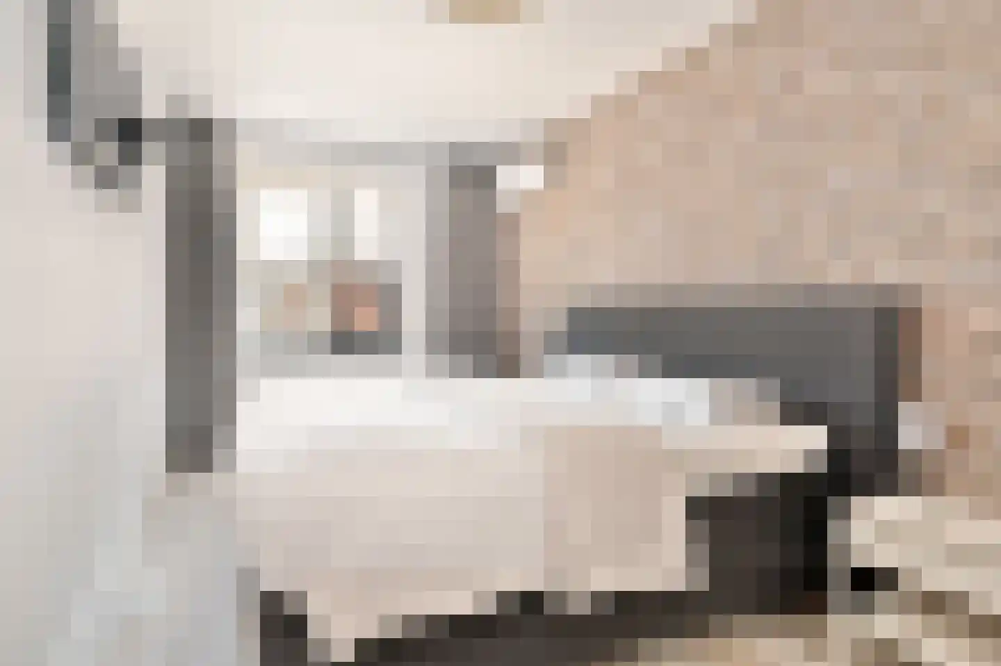 Schorpioen 57 Schijndel thumbnail 18