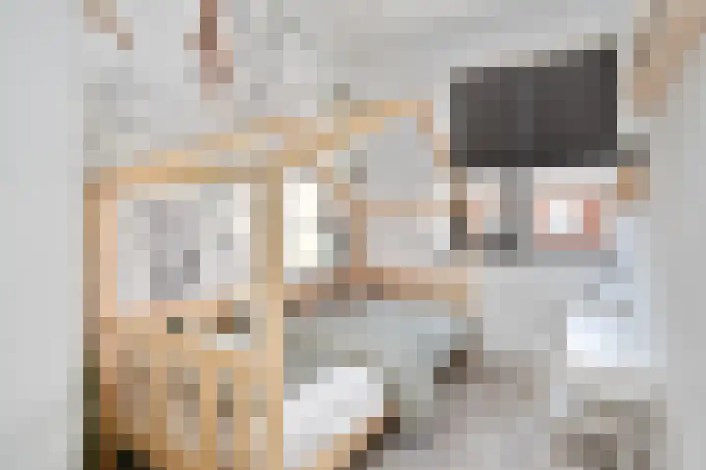 Schorpioen 57 Schijndel thumbnail 22