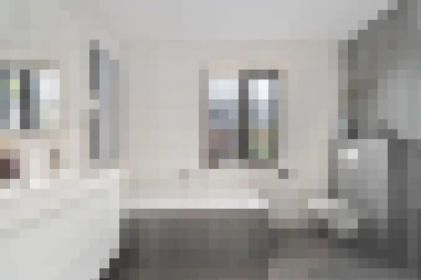 Schorpioen 57 Schijndel thumbnail 23