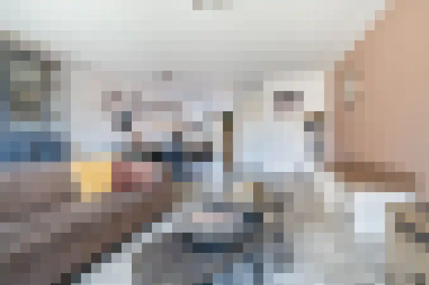 Schorpioen 57 Schijndel thumbnail 8