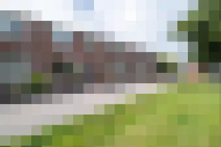 Schorpioen 69 Hoogezand