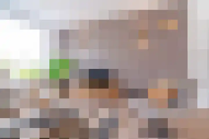Schorpioen 69 Hoogezand thumbnail 13