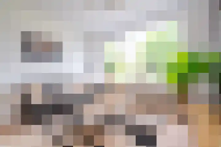 Schorpioen 69 Hoogezand thumbnail 14