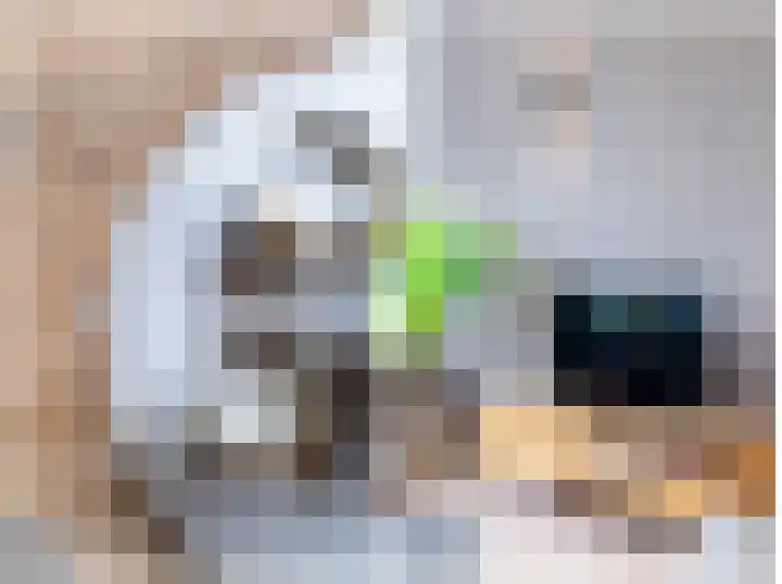 Schorpioen 69 Hoogezand thumbnail 24