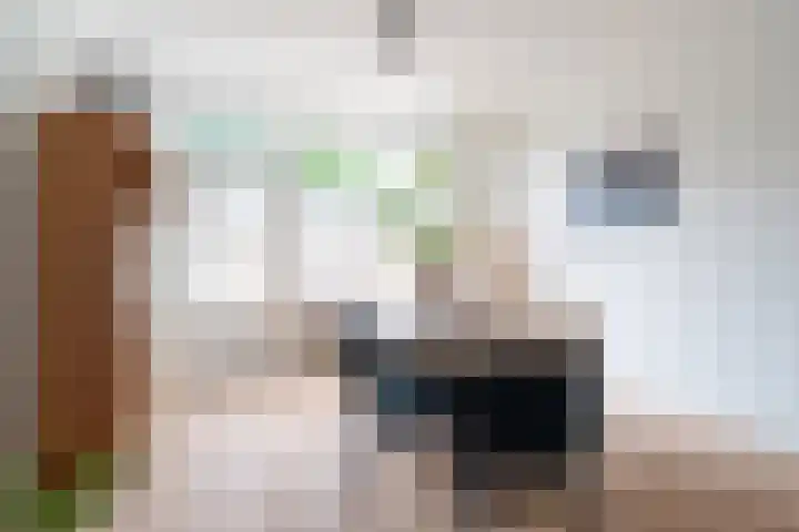 Schorpioen 69 Hoogezand thumbnail 25
