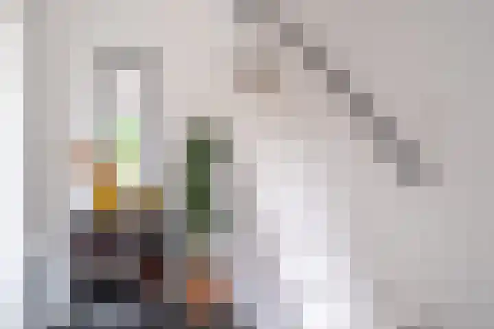 Schorpioen 69 Hoogezand thumbnail 37