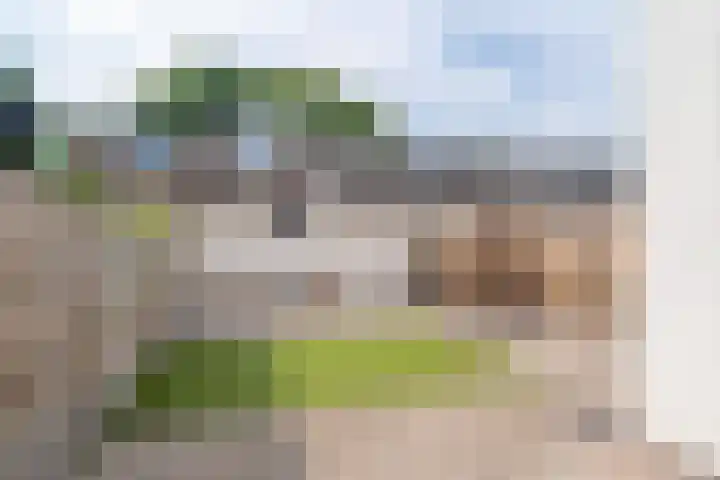 Schorpioen 69 Hoogezand thumbnail 56