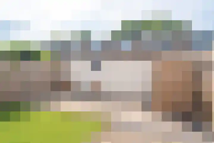 Schorpioen 69 Hoogezand thumbnail 57