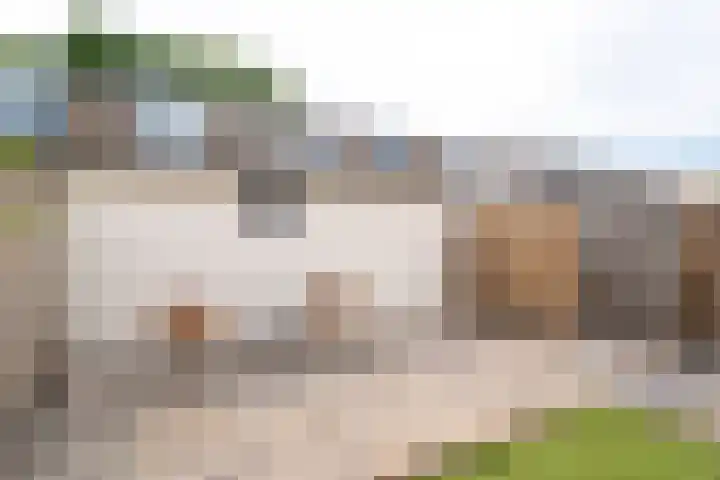 Schorpioen 69 Hoogezand thumbnail 58