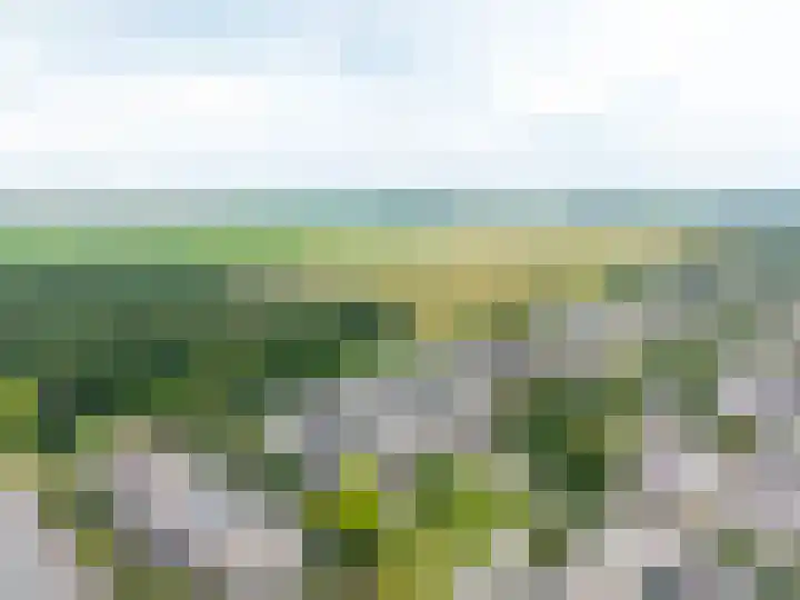 Schorpioen 69 Hoogezand thumbnail 60