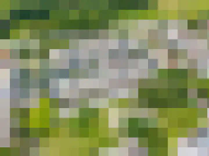 Schorpioen 69 Hoogezand thumbnail 61