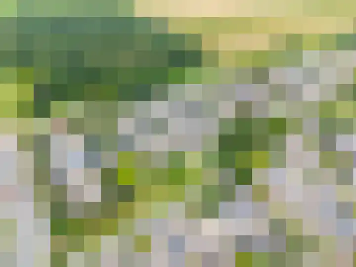 Schorpioen 69 Hoogezand thumbnail 63