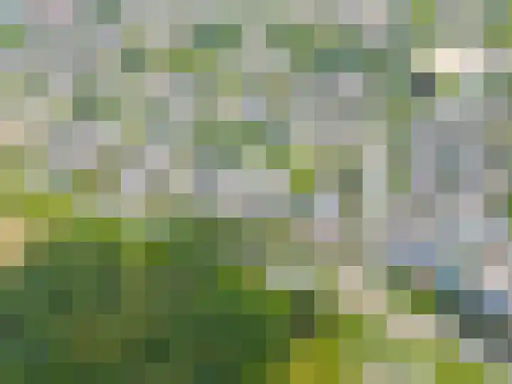 Schorpioen 69 Hoogezand thumbnail 64