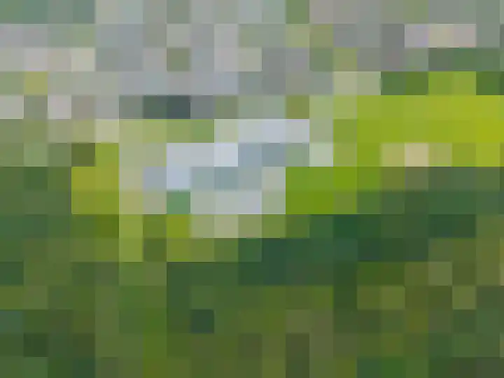 Schorpioen 69 Hoogezand thumbnail 65